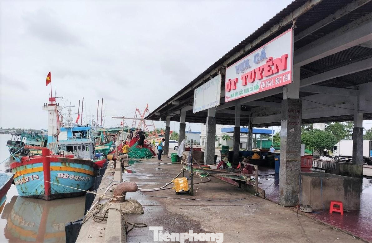 Lượng tàu cá cập cảng chủ yếu một số ghe ngoài tỉnh.