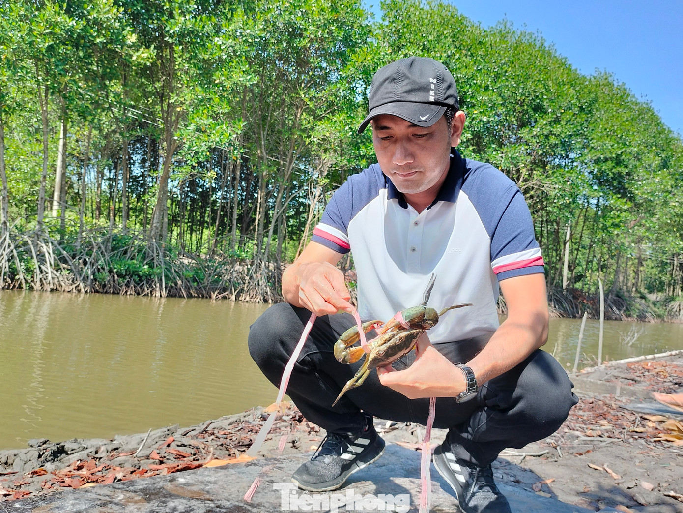 Du khách được tự tay trực tiếp cắm cần câu cua, bắt và tự buộc cua lại.