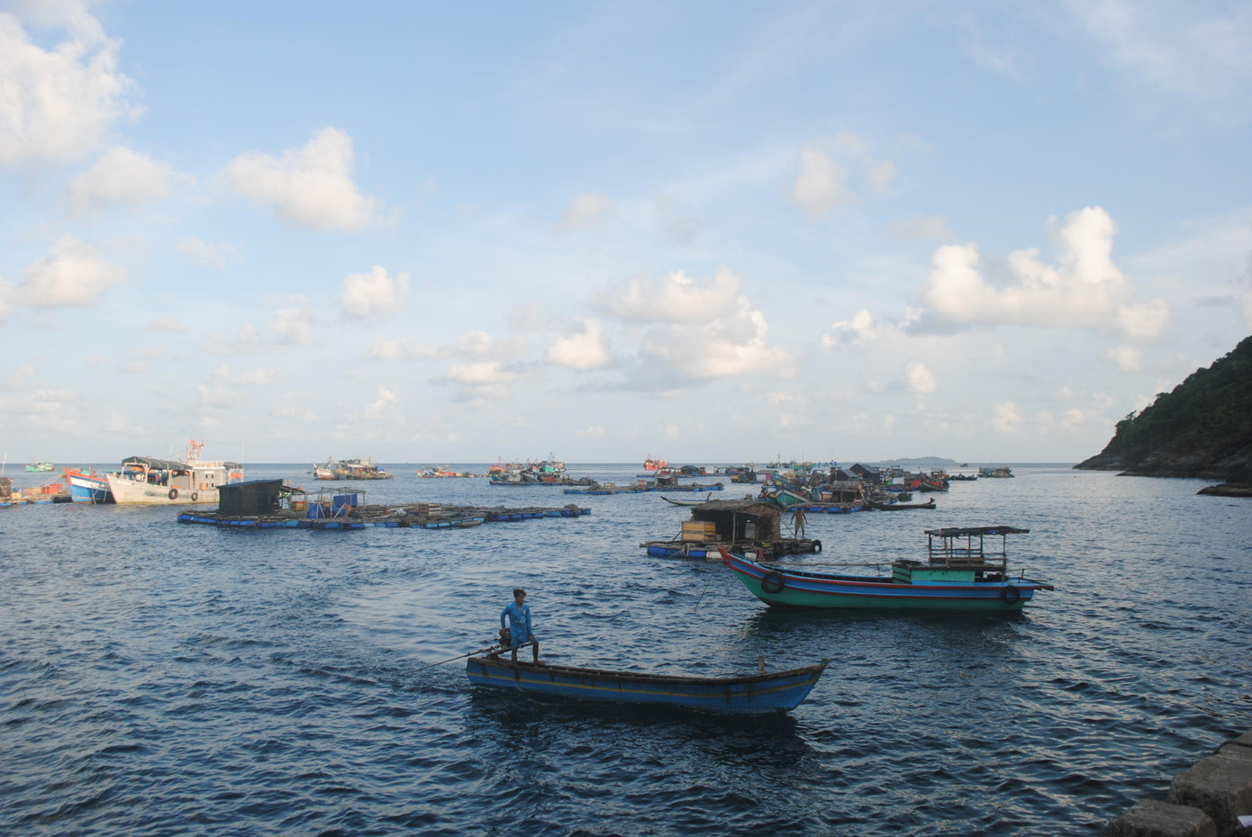 Theo ông Phương, tình trạng cá chết diễn ra từ tháng 8 và kéo dài đến nay, mức độ thiệt hại các hộ nuôi khác nhau, có hộ lên đến 30%.
