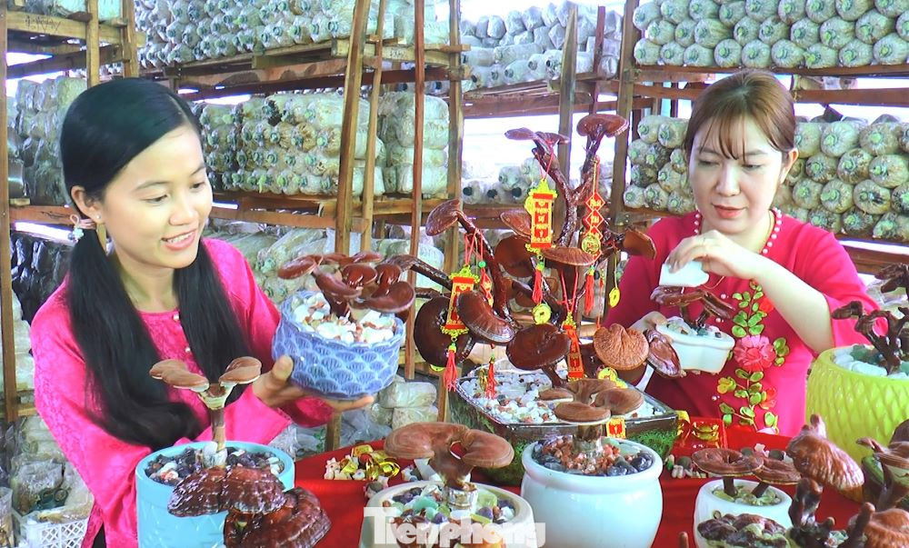 Mặc dù mới thực hiện trong năm đầu nhưng những chậu bonsai nấm linh chi khô và nấm linh chi tươi của Ril đã được nhiều người thích thú và đặc hàng. Giá bán mỗi chậu nấm từ 500.000 đồng đến 5 triệu đồng tùy theo hình dáng, độ độc đáo và số lượng nấm.