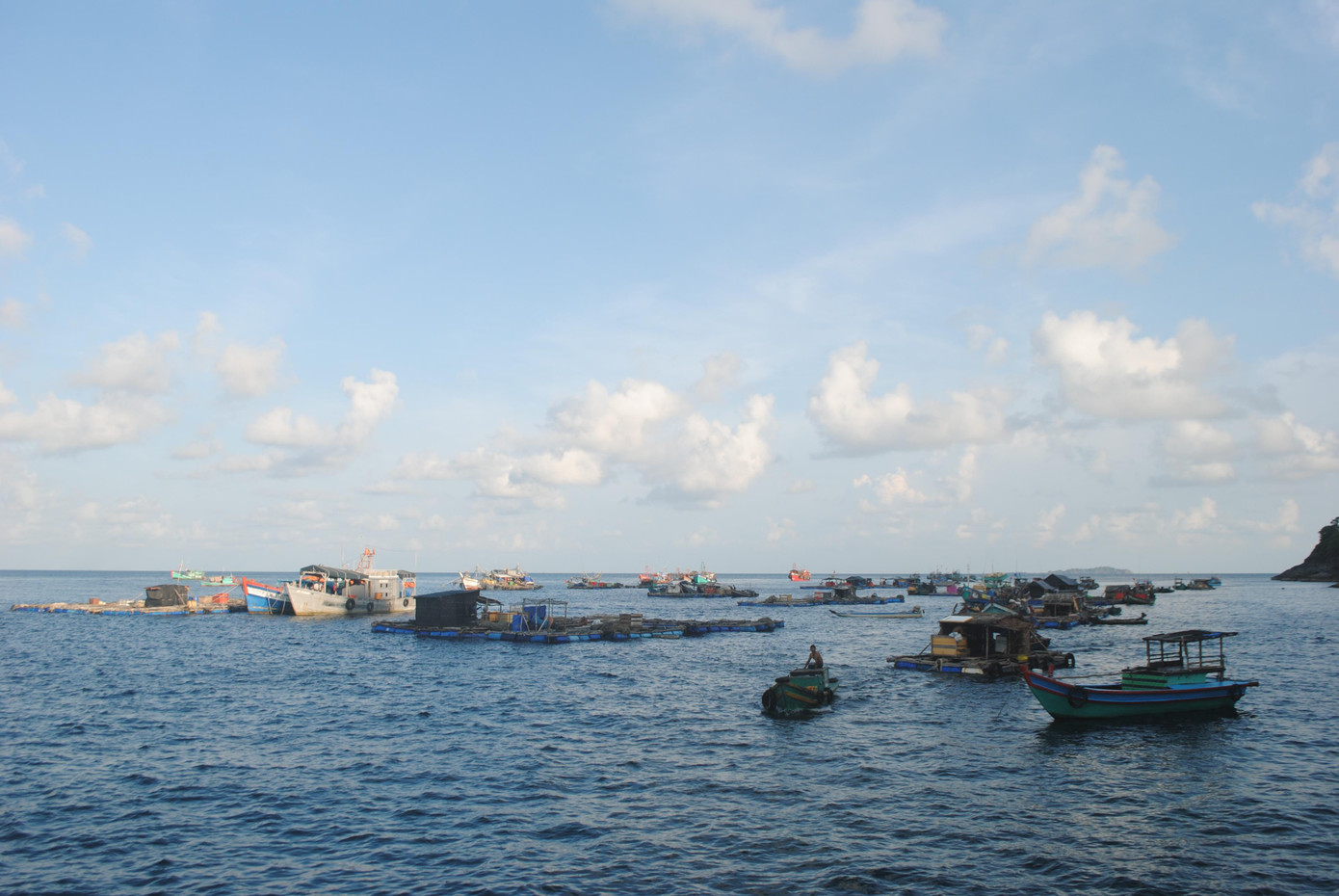 Sau khi xác định nguyên nhân cá bớp nuôi lồng bè đảo Hòn Chuối bị chết, cơ quan chuyên môn của Sở NN&amp;PTNT tỉnh Cà Mau đã hướng dẫn cho các hộ nuôi các biện pháp phòng, trị bệnh.