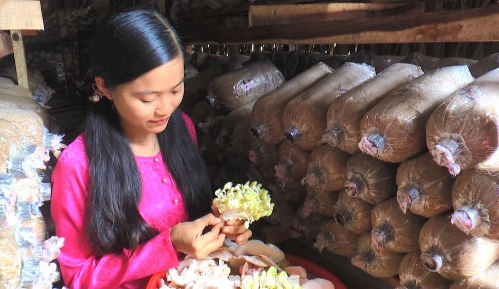 Bên cạnh bán nấm thành phẩm, Ril còn bán các phôi nấm để người dân xung quanh tự mang về nhà trồng, chăm sóc. Tận dụng những kinh nghiệm học được khi làm việc ở thành phố. Ril biến mình thành cô nông dân 4.0 và nhanh chóng bắt nhịp xu thế. Cô tạo các kênh mạng xã hội, tham gia các hội thi, các chương trình giới thiệu sản phẩm để quảng bá, đưa nguồn hàng của mình đến với người tiêu dùng.