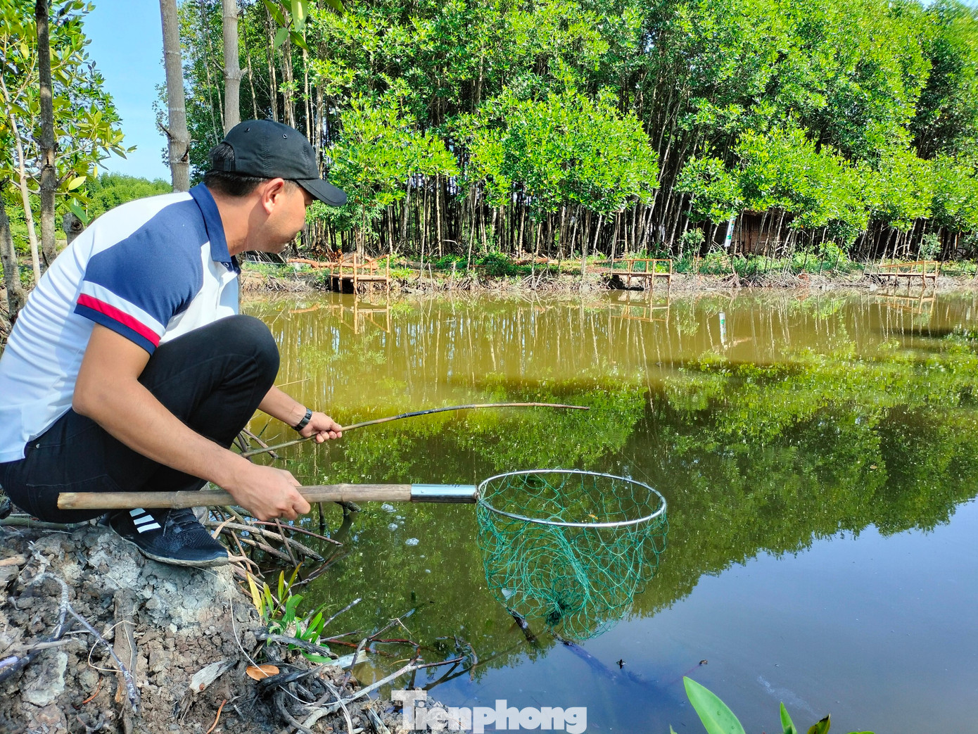 Muốn vợt được cua phải nương theo chúng, từ từ đưa lên. Cua mê ăn, bỏ chân bám đất, càng kẹp chặt con mồi, theo đà kéo từ từ trồi lên mặt nước. Vừa thấy càng cua hiện ra, người câu dùng vợt xúc thật nhanh, là tóm gọn.