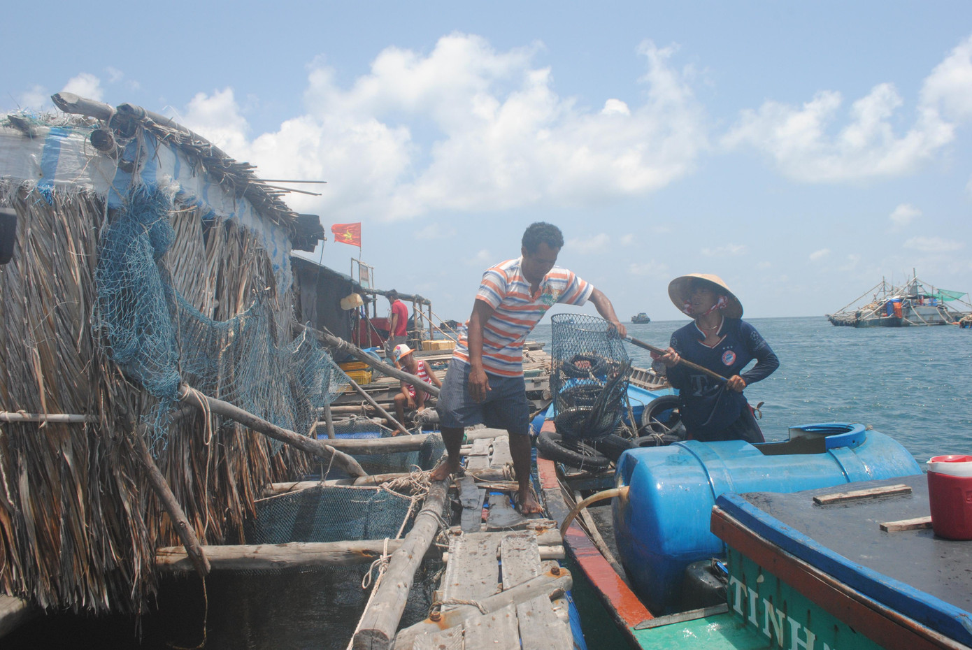 Trước tình hình trên, các cơ quan chuyên môn của Sở NN&amp;PTNT Cà Mau đã đi khảo sát và nắm tình trạng cá bớp nuôi lồng bè đảo Hòn Chuối bị chết.