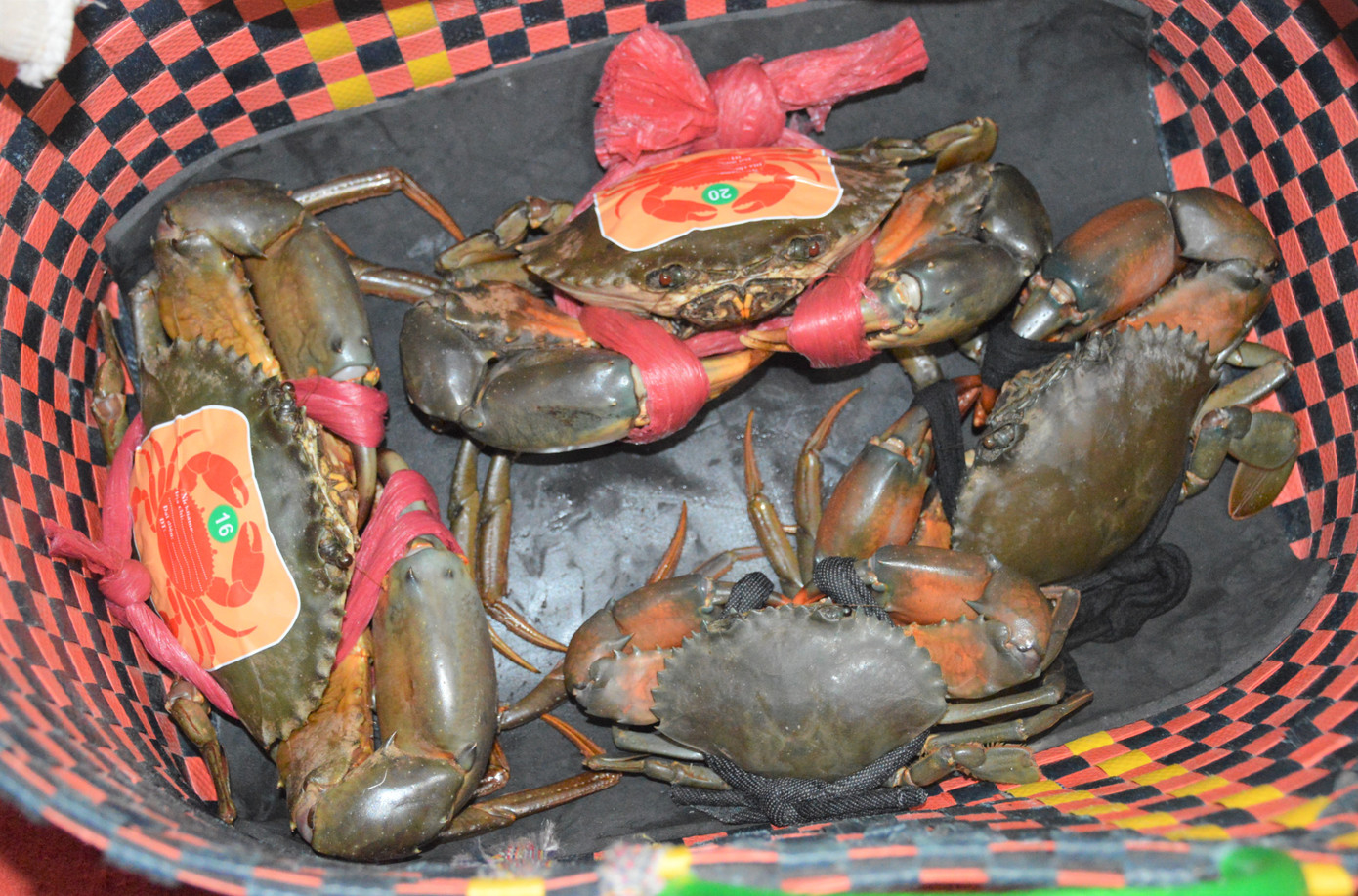 Hoạt động nhằm tôn vinh, quảng bá, khẳng định giá trị đặc sản cua Cà Mau. Bên cạnh đó, cuộc thi còn hướng đến giới thiệu điều kiện tự nhiên của Cà Mau thuận lợi cho cua sinh sản, sinh trưởng và phát triển; tạo sân chơi vui tươi, giao lưu, hợp tác và đoàn kết; góp phần tạo động lực bảo tồn nguồn gen và giống cua quý tại địa phương.