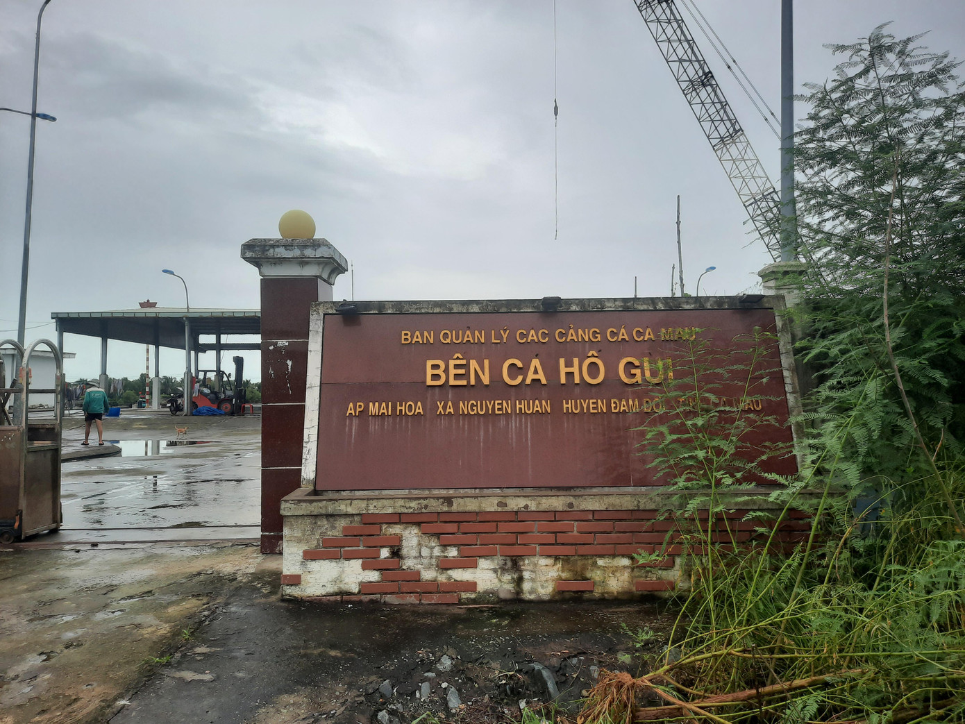 Công trình 70 tỷ đồng để phơi nắng, phơi mưa, không phát huy hiệu quả. Công trình 70 tỷ đồng để phơi nắng, phơi mưa, không phát huy hiệu quả.