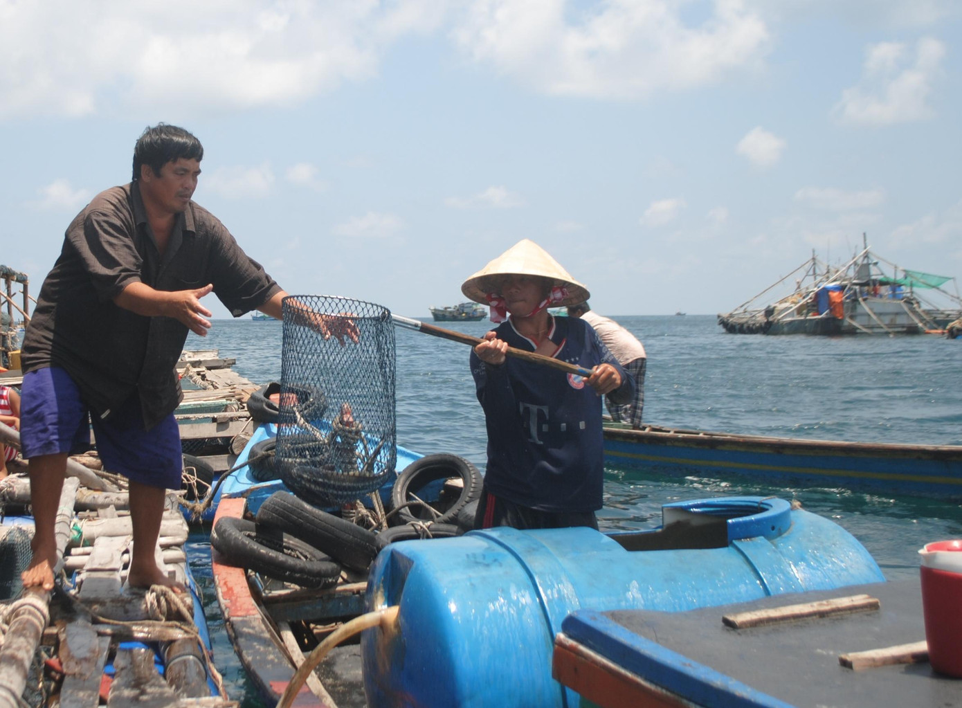 Hiện nay, khu vực đảo Hòn Chuối có 29 hộ nuôi cá bớp, gần 150 lồng.