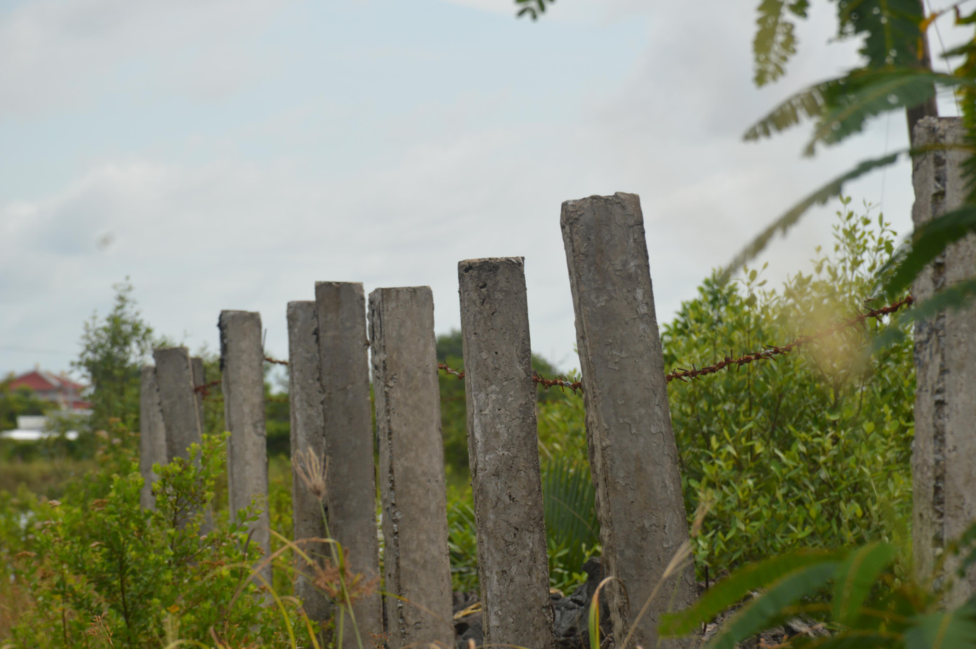 Hầu hết các hạng mục của 'ngân hàng đất' đã xuống cấp nghiêm trọng. Hầu hết các hạng mục của 'ngân hàng đất' đã xuống cấp nghiêm trọng.