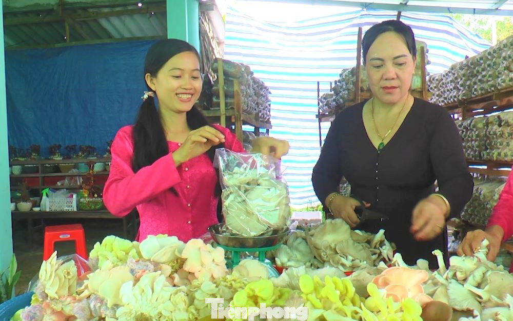 Ngày hết dịch, Ril về quê với khoảng 200 phôi nấm bào ngư khởi nghiệp. Kể từ đó, hàng ngàn, chục ngàn, trăm ngàn phôi nấm với hàng trăm mét vuông nhà nấm liên tục được mọc lên.