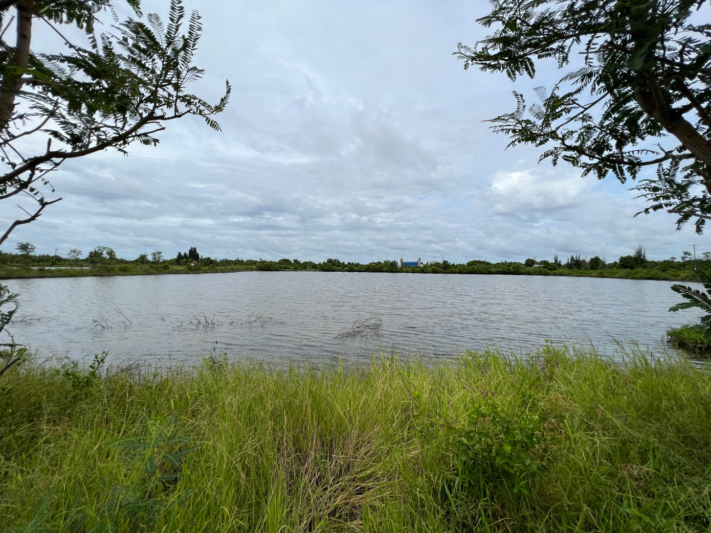 Sở NN&PTNT giao cho Trung tâm Quản lý, khai thác công trình thủy lợi tỉnh Cà Mau (gọi tắt là trung tâm) quản lý, vận hành, khai thác “ngân hàng đất”. Khi trung tâm tiếp nhận thì công trình không hoạt động được do các gói thầu nạo vét từ các kênh thuộc tiểu vùng 10 - Nam Cà Mau đã hoàn thành vào cuối năm 2016, khi đó khối lượng nạo vét không được “ngân hàng đất” tiếp nhận và hệ thống kênh chưa đến chu kỳ nạo vét lại. Sở NN&PTNT giao cho Trung tâm Quản lý, khai thác công trình thủy lợi tỉnh Cà Mau (gọi tắt là trung tâm) quản lý, vận hành, khai thác “ngân hàng đất”. Khi trung tâm tiếp nhận thì công trình không hoạt động được do các gói thầu nạo vét từ các kênh thuộc tiểu vùng 10 - Nam Cà Mau đã hoàn thành vào cuối năm 2016, khi đó khối lượng nạo vét không được “ngân hàng đất” tiếp nhận và hệ thống kênh chưa đến chu kỳ nạo vét lại.