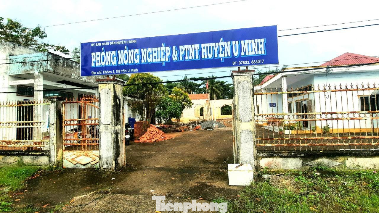 Phòng NN&PTNT huyện U Minh. Phòng NN&PTNT huyện U Minh.