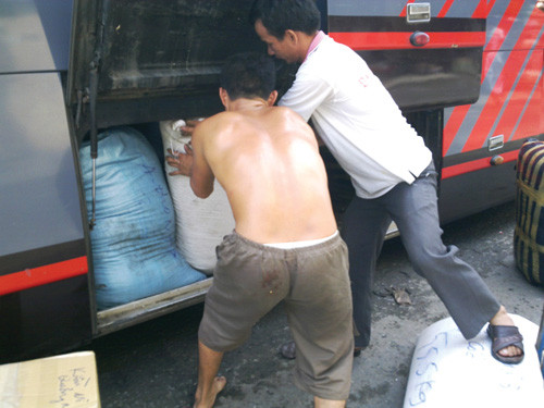 Đậu nành rang “cà phê” được đưa về H.Thăng Bình, Quảng Nam tiêu thụ. Đậu nành rang “cà phê” được đưa về H.Thăng Bình, Quảng Nam tiêu thụ