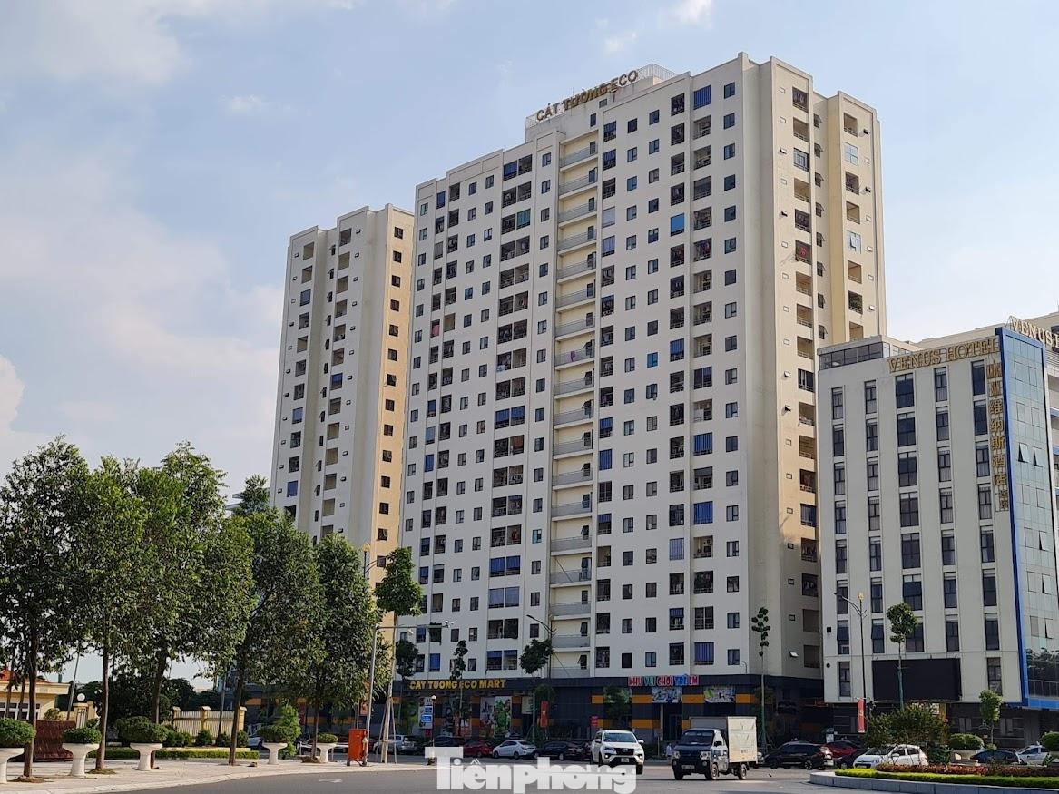 Thanh tra Bộ Xây dựng phát hiện dự án NƠXH Cát Tường ECO (TP Bắc Ninh) do Công ty CP Cát Tường làm chủ đầu tư có nhiều vi phạm hoạt động kinh doanh bất động sản.