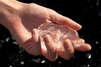 Ảnh: minh họa - Internet