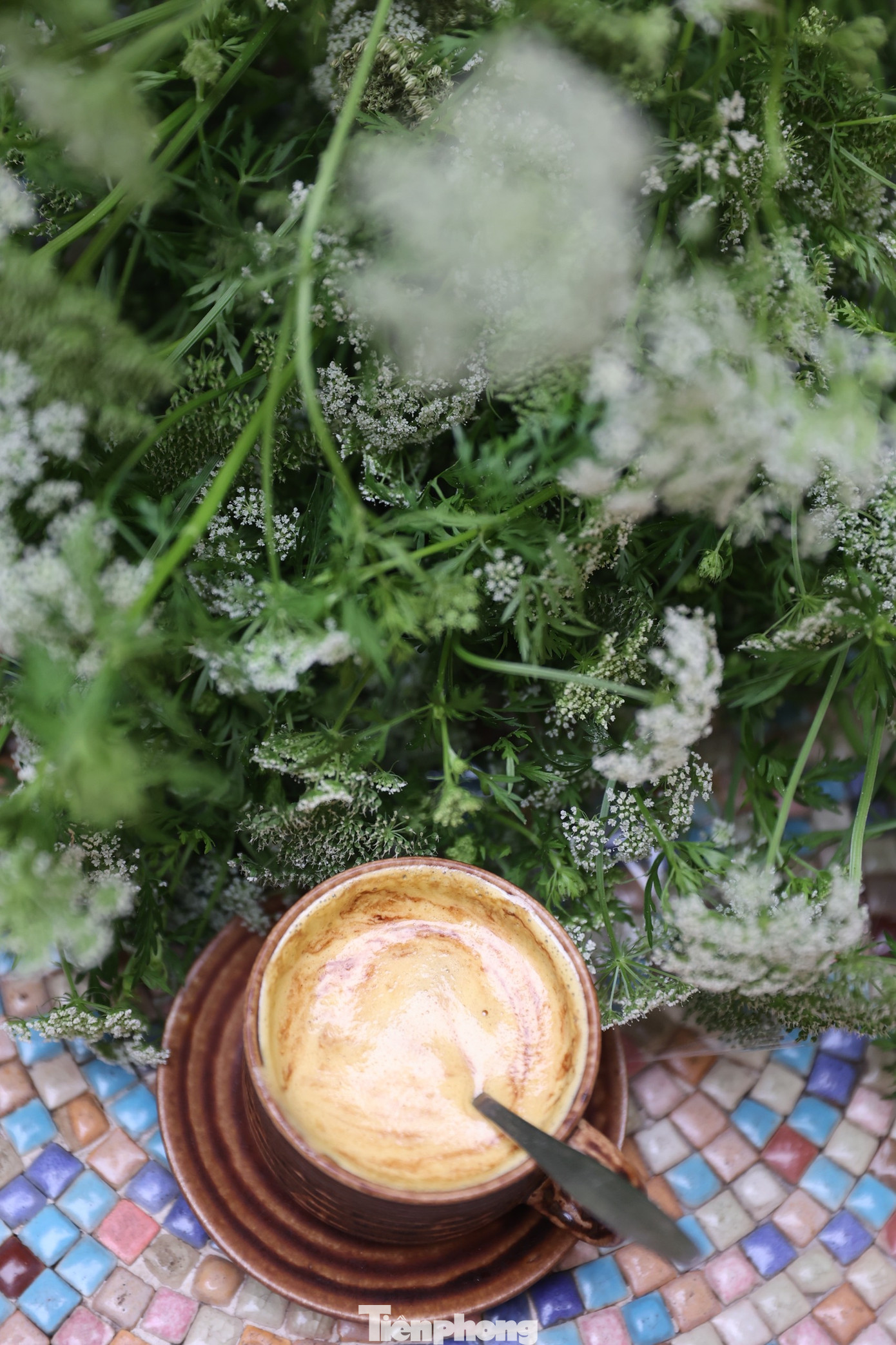 Món cà phê trứng Tim Cook thưởng thức có giá 65.000 đồng. Ảnh: Trọng Tài. Món cà phê trứng Tim Cook thưởng thức có giá 65.000 đồng. Ảnh: Trọng Tài.