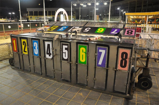 Nếu không có thích các quân bài và máy chơi bạc, bạn có thể tham gia đặt cược ở trường đua ngựa Canidrome…