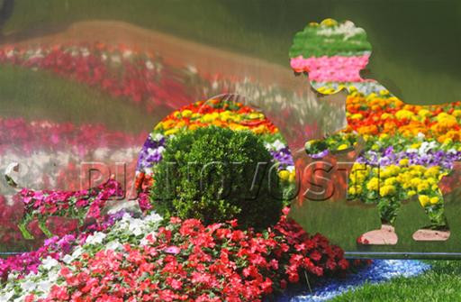 “Trang trí diệu kỳ” “Trang trí diệu kỳ”