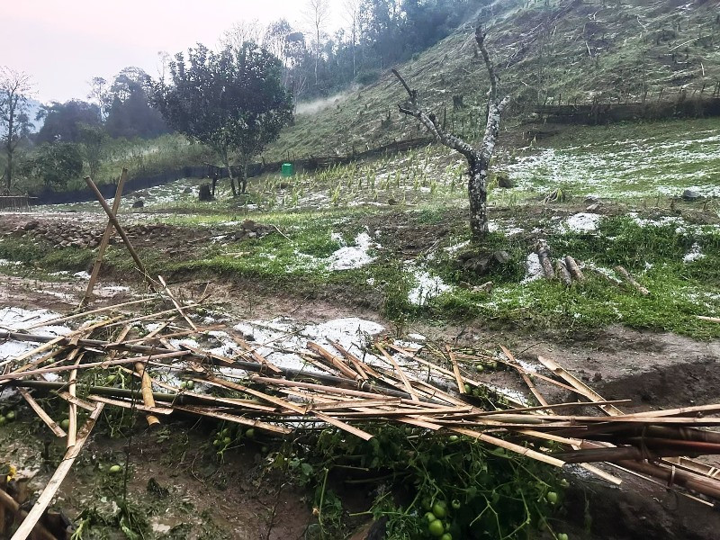 Đến sáng 29/3, đá nước từ trận mưa đá vẫn còn bám trên nhiều khu vực ở mặt đất