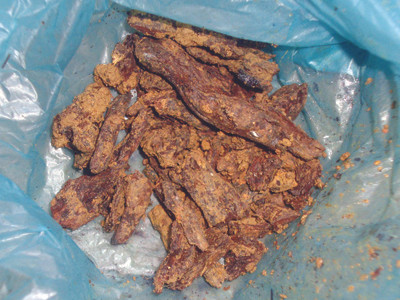 Những mụn trầm li ti lẫn với đất đá kiếm được sau hơn 10 ngày đào bới