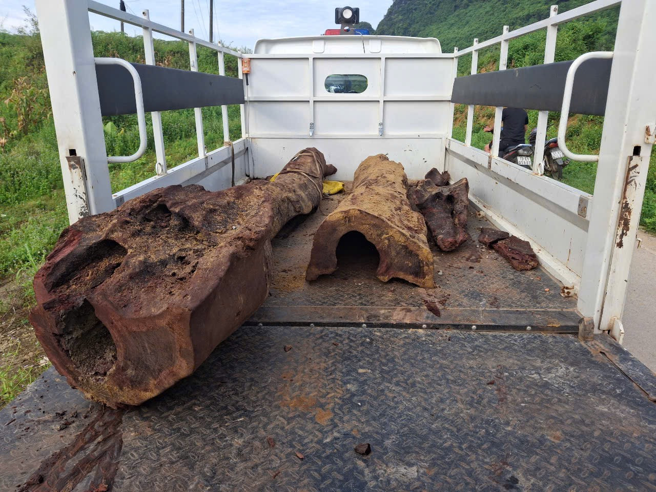 Cây sưa được thu hồi lên xe của cơ quan chức năng vào sáng 18/5. Cây sưa được thu hồi lên xe của cơ quan chức năng vào sáng 18/5.