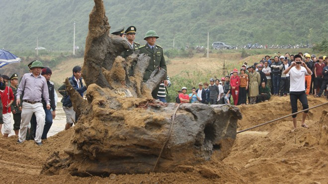 Hiện trường khai quật gốc sưa "khủng" năm 2014. Hiện trường khai quật gốc sưa "khủng" năm 2014.