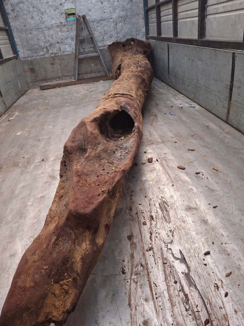 Cây sưa được thu hồi lên xe của cơ quan chức năng vào sáng 18/5. Cây sưa được thu hồi lên xe của cơ quan chức năng vào sáng 18/5.