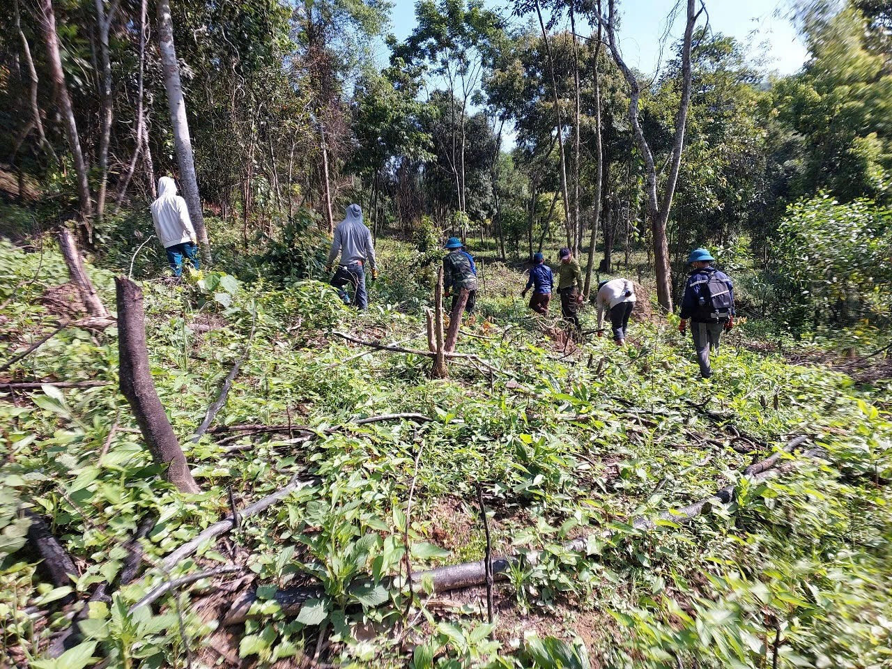 Đoàn liên ngành đã thu dọn hơn 5,5ha rừng bị lấn chiếm trái phép. Đoàn liên ngành đã thu dọn hơn 5,5ha rừng bị lấn chiếm trái phép.