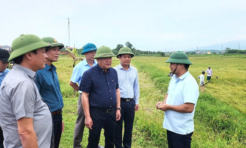 Chủ tịch UBND tỉnh Quảng Bình Trần Phong (áo đen) nghe lãnh đạo địa phương báo cáo tình hình lúa đổ ngã.