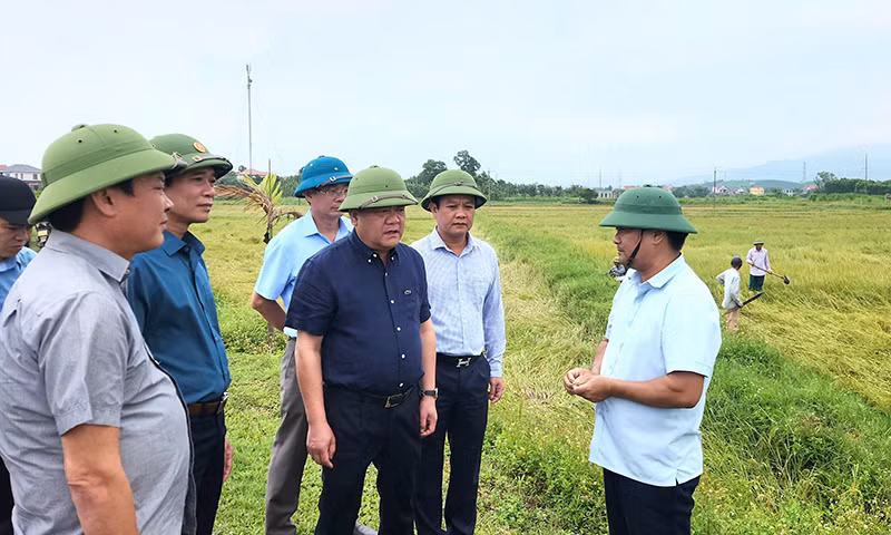Chủ tịch UBND tỉnh Quảng Bình Trần Phong (áo đen) nghe lãnh đạo địa phương báo cáo tình hình lúa đổ ngã.