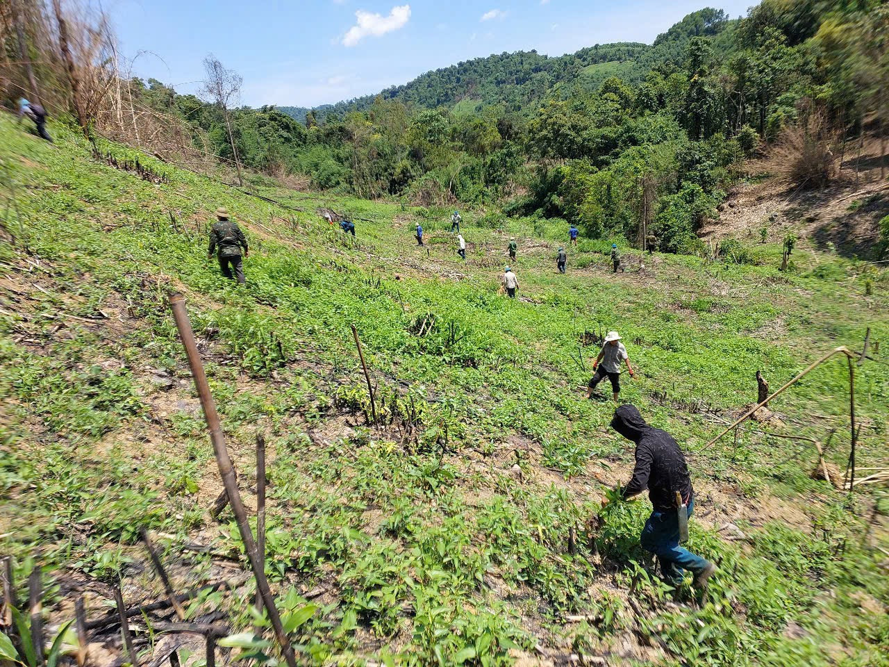 Đoàn cưỡng chế liên ngành do xã Kim Hoá tổ chức. Đoàn cưỡng chế liên ngành do xã Kim Hoá tổ chức.
