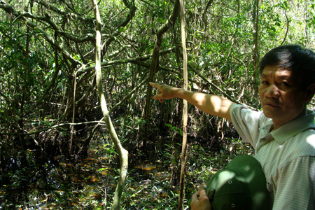 Theo ông Thanh, dưới vụng Thắm còn rất nhiều cá rô Tổng Trường và cá tràu tiến vua