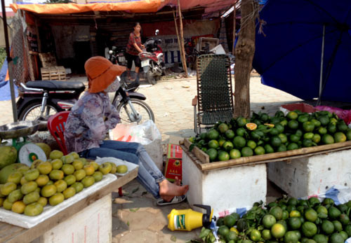 Nhiều người bán cam còn bán kèm theo nhiều loại quả khác như hồng vuông... Nhiều người bán cam còn bán kèm theo nhiều loại quả khác như hồng vuông..