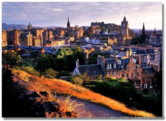 Lâu đài Malbork nổi tiếng nhất Ba Lan rộng 143.591 m2, được xây hoàn toàn bằng gạch theo phong cách kiến trúc Gôtích lớn nhất thế giới. Mehrangarh Fort rộng 81.227 m2, một pháo đài hàng nghìn năm tuổi tại Ấn Độ. Bao quanh là bức tường kiên cố có chiều dày 6m, bên trong là cung điện nguy nga với kiến trúc tinh xảo. Tại đây, bạn có thể thấy nhiều hiện vật lịch sử của những vị vua. Prague Castle rộng 66.761 m2 là lâu đài thời trung cổ lớn nhất ở châu Âu và là nơi ngự trị cổ xưa của các vị vua Séc trong suốt các thời đại. Đây là quần thể các tòa nhà, cung điện, thánh đường lộng lẫy và được xem là biểu tượng của cộng hòa Séc. Windsor Castle rộng 54.835 m2, là lâu đài lớn nhất, lâu đời nhất thế giới và là niềm tự hào lịch sử nước Anh. Lâu đài Hohensalzburg rộng 54523 m2 nằm tại thành phố Salzburg, Áo. Spis Castle rông 49485 m2 là một trong những lâu đài thời Trung cổ lớn nhất ở trung tâm châu Âu, tại miền đông Slovak Buda Castle rộng 44.674 m2 là lâu đài lịch sử của các vị vua Hungary tại Budapest. Himeji Castle rộng 41.468 m2 nằm ở trung tâm của thành phố Himeji, Nhật Bản. Thành cổ Aleppo rộng 39.804 m2, được coi là niềm tự hào của sa mạc, thành cổ Aleppo là một trong những lâu đài nổi tiếng nhất trong thế giới Ả Rập.