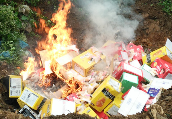 Tiêu hủy lượng lớn bánh kẹo, sữa chua không rõ nguồn gốc ảnh 2