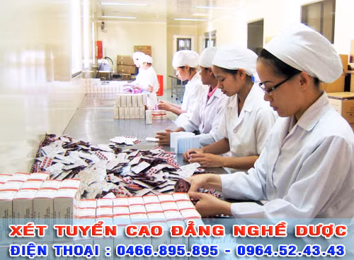 Có nên học Cao đẳng Nghề Dược? ảnh 2