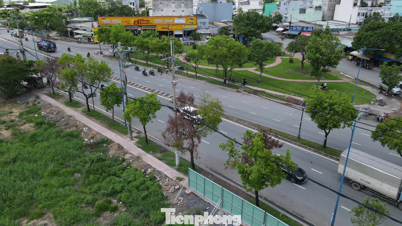 Loạt cây xanh trên đường Trần Văn Giàu héo rũ, chết dần. Loạt cây xanh trên đường Trần Văn Giàu héo rũ, chết dần.