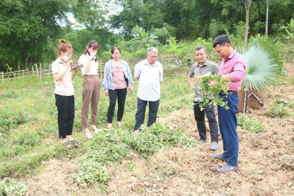 Hướng dẫn người dân chăm sóc cây trồng hiệu quả Hướng dẫn người dân chăm sóc cây trồng hiệu quả