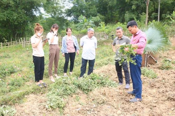 Hướng dẫn người dân chăm sóc cây trồng hiệu quả