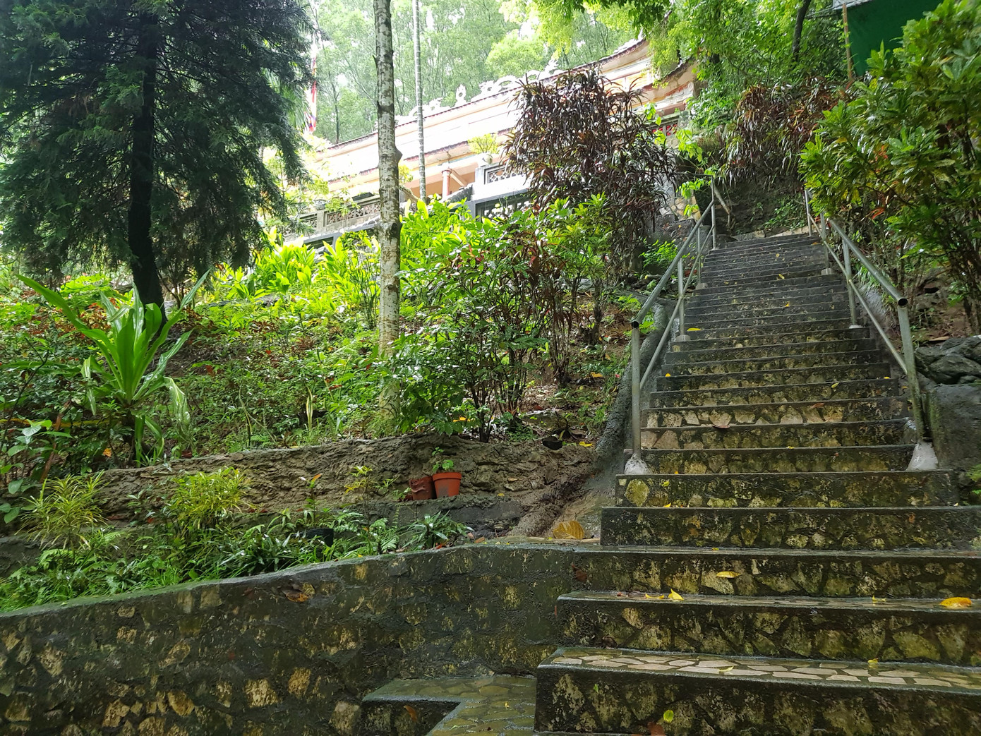 Đường lên Động Tiên Sơn, phường Hàm Rồng, TP Thanh Hoá