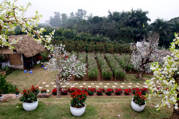 Các vườn hoa được quy hoạch như một công viên thu nhỏ