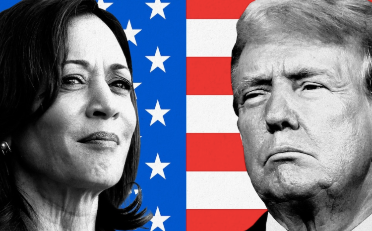 28% người tham gia khảo sát của New York Times muốn biết nhiều hơn về bà Harris, trong khi chỉ có 9% nói như vậy về ông Trump. (Ảnh: AP)