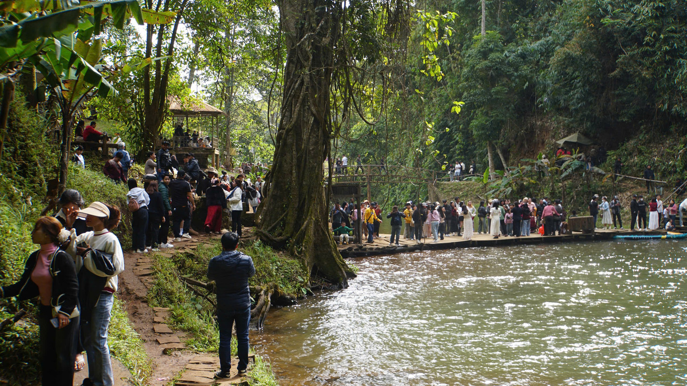 Tất cả các cơ sở lưu trú đều "cháy phòng" từ trước dịp Tết Nguyên đán