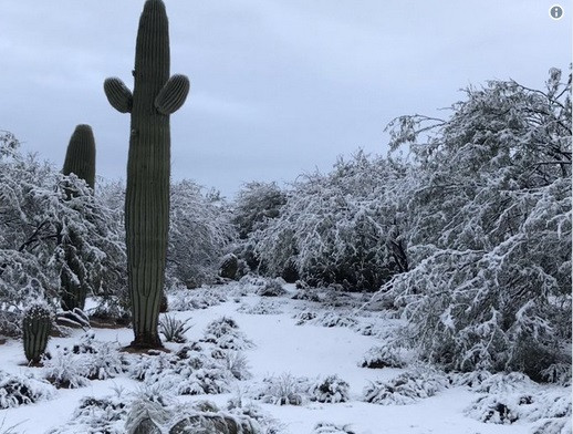 Tuyết rơi trắng sa mạc tại Mỹ ảnh 1