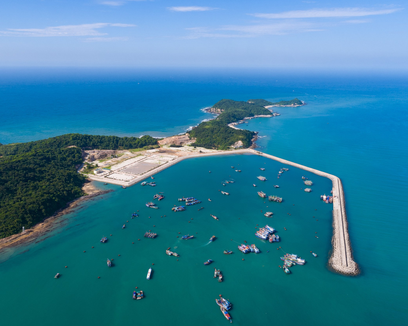 Khu bảo tồn biển Cô Tô - Đảo Trần với nhiều nguồn sinh vật biển quý hiếm cần được bảo vệ.