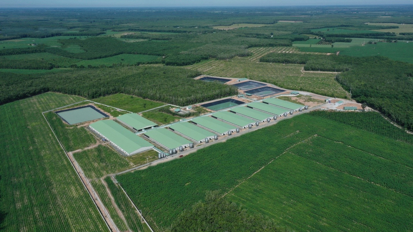 Các trang trại do BAF xây dựng đều đảm bảo khoảng cách với khu dân cư và quy định cụ thể về điều kiện cách ly, sát khuẩn trước khi vào khu sản xuất. Các trang trại do BAF xây dựng đều đảm bảo khoảng cách với khu dân cư và quy định cụ thể về điều kiện cách ly, sát khuẩn trước khi vào khu sản xuất.