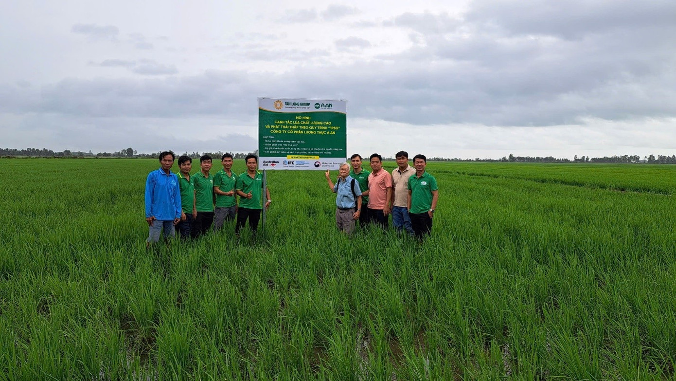 Công ty đang tích cực mở rộng các vùng nguyên liệu, liên kết với nông dân để sản xuất lúa gạo chất lượng cao theo định hướng giảm phát thải. Công ty đang tích cực mở rộng các vùng nguyên liệu, liên kết với nông dân để sản xuất lúa gạo chất lượng cao theo định hướng giảm phát thải.