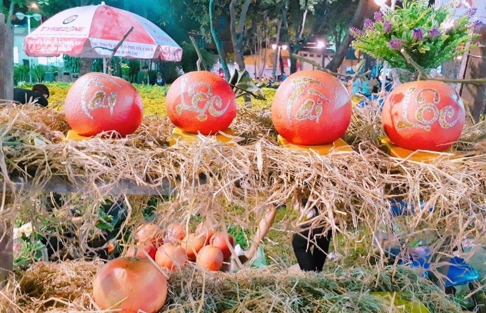 Bưởi đỏ thư pháp có giá lên tới cả triệu đồng Bưởi đỏ thư pháp có giá lên tới cả triệu đồng