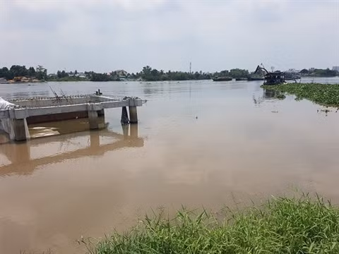 Phó Thủ tướng yêu cầu xử lý sai phạm đất đai tại TP.HCM của nhiều DN ảnh 1