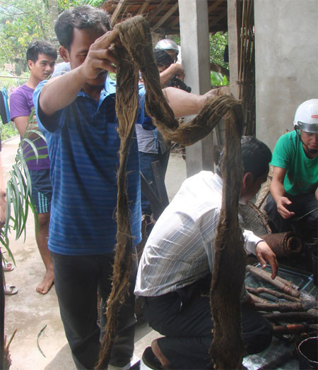 Băng vải làm từ vỏ cây, dùng làm khố