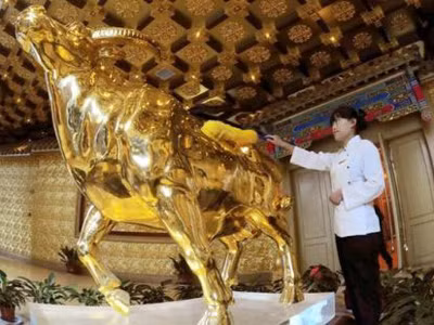 Bò vàng ở Hoa Tây thôn. Bò vàng ở Hoa Tây thôn